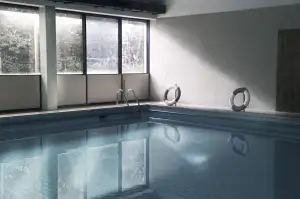Nejlepší Filmy O Psech